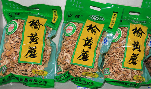食用菌廠(chǎng)家哪家好